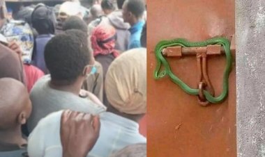 Mu burakari bukabije, nyirinzu yafungishije  inzo inzoka nyuma kutamwishyura ubukode