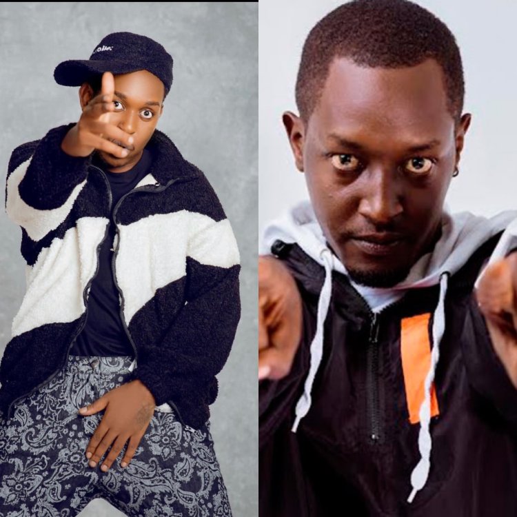 Shene ya YouTube ya Bushali yasibwe