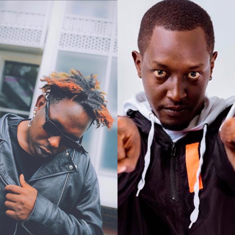 Shene ya YouTube ya Bushali yagarutseho