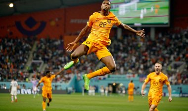 World Cup 2022:Ubuhorandi bwatsinze Leta zunze ubumwe za Amerika bugera muri kimwe cya kane