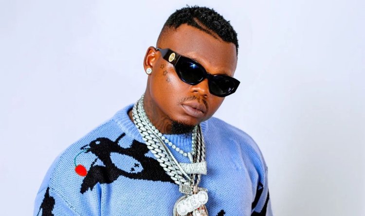 Harmonize yahagurukiye abitwikira ubujiji bwe bakarya ku byinjizwa n'ibihangano bye