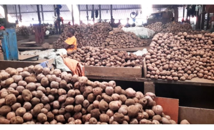 "Ibiciro by'ibiribwa biraza gusubira ku murongo" Perezida Kagame