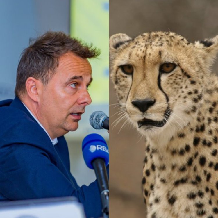 FERWAFA yakuyeho urujijo ku mutoza w'ikipe y'igihugu watumwe uruhu rw'igitarangwe