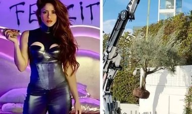 Igiti Shakira yimukanye gikomeje kuvugisha benshi