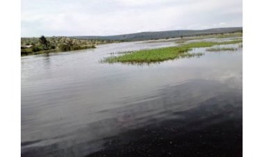 Umusaza bamurohoye agerageza kwiyahura bwa kane