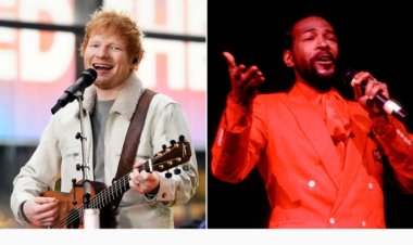 Gushishura birabakoraho! Undi Muhanzi mu rukiko