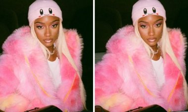 Ayra Starr yasubitse ibitaramo yari afite