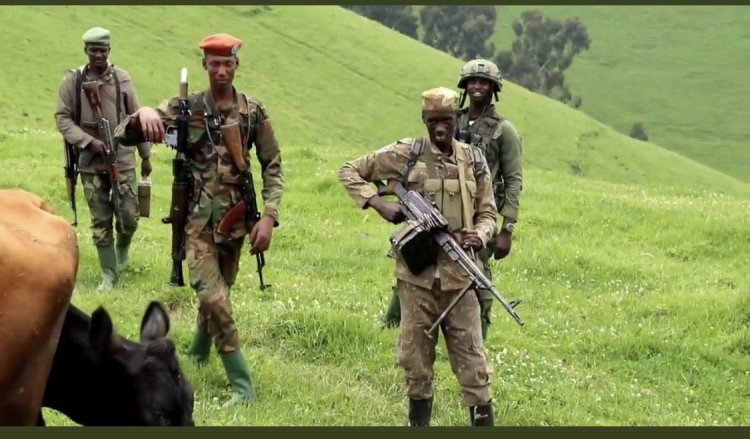 M23 Vs FARDC: Inkuru za rubaba zigezweho ku rugamba