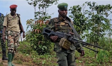 M23 na FARDC batangiye kurasana mu bunyoni