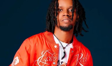 Zeotrap yavuze icyemezo yafashe nyuma yo kuganirizwa na  RIB