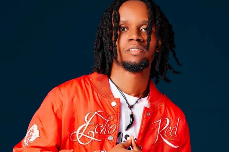 Zeotrap yavuze icyemezo yafashe nyuma yo kuganirizwa na  RIB