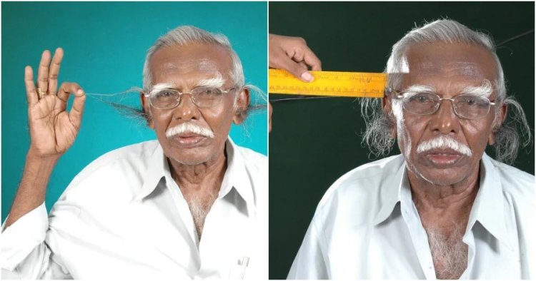 Yaciye agahigo ko kugira ubwoya burebure bwo mu matwi