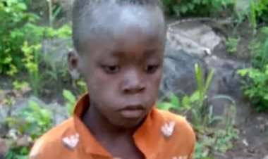 Zimbabwe: Umwana w'imyaka Umunani yamaze iminsi Itanu muri Pariki y'intare n'inzovu