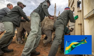 U Rwanda rwakiriye inkura z'umweru 70 zivuye muri Afurika y’Epfo