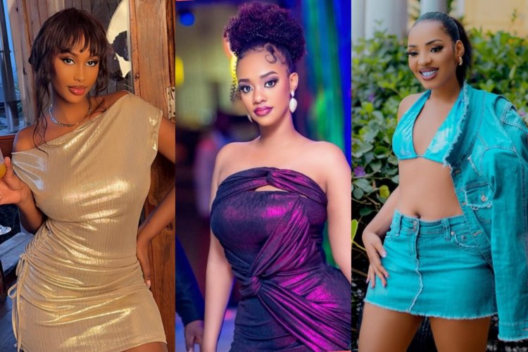 Mu Rwanda hagiye kongera gutangwa ibihembo bya 'Video Vixen Awards