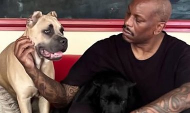 Umukinnyi wa filime Tyrese Gibson yatawe muri yombi azira imbwa ze 